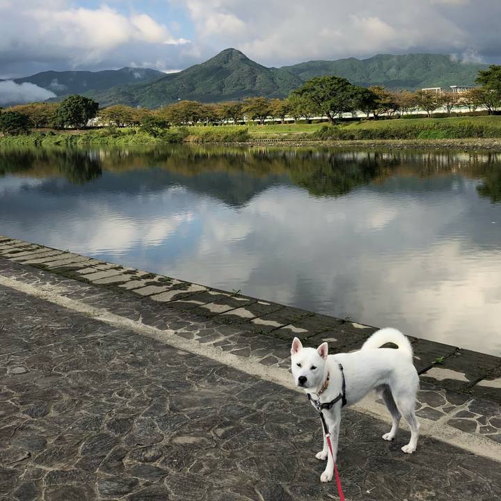 D746876f d85f 45c9 9c63 126c6fabe8ff 1538958862142