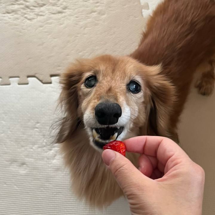 D7469857 1084 4ea7 b6a4 88ff645a84cd 1678455844573