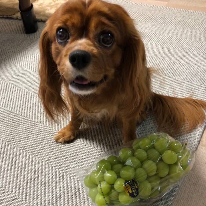 D746aa14 acb3 4053 bbe9 c5bc7b55488c 1600678548652