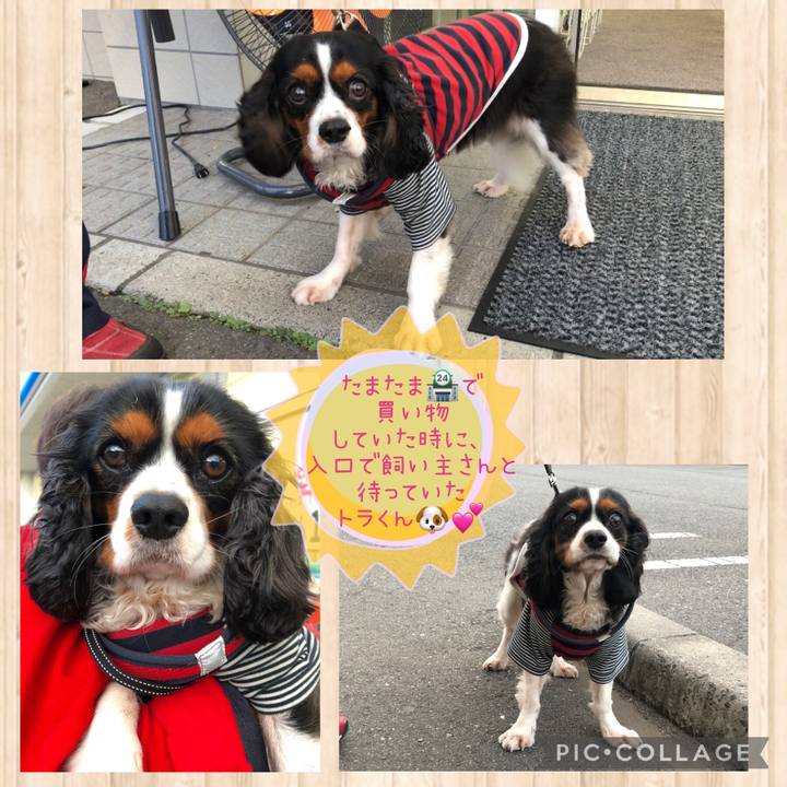 D746b437 b192 48d4 8b09 25f688cd567d 1633603881913