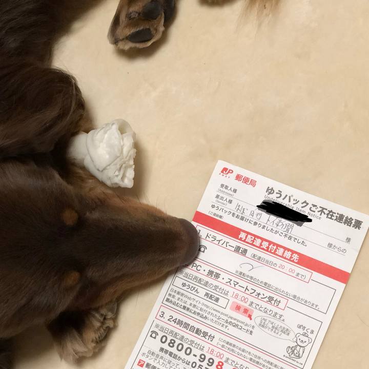 D746c78d c889 40ed 81ad 7b979e39ed71 1511940161347