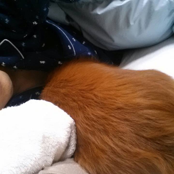 D746dbd0 11e2 4ad1 b7eb 0c7c2245f1b3 1547213727311