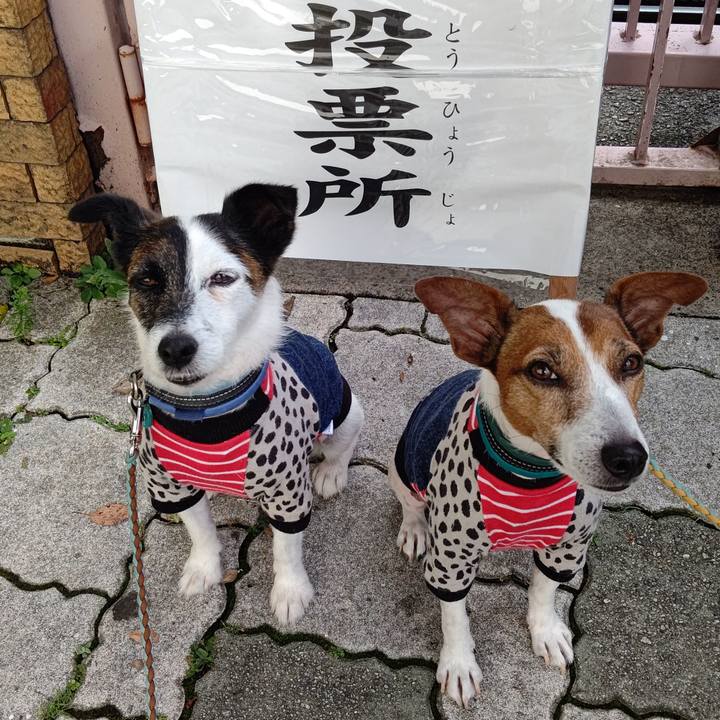 D746dcbd fc67 41d0 b9f5 4715fd4f8c4c 1720305257156