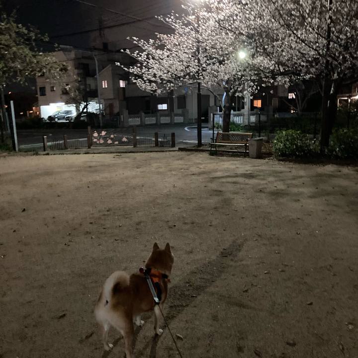 D747102a a79c 4028 aa70 d2b80949eae6 1616414537521