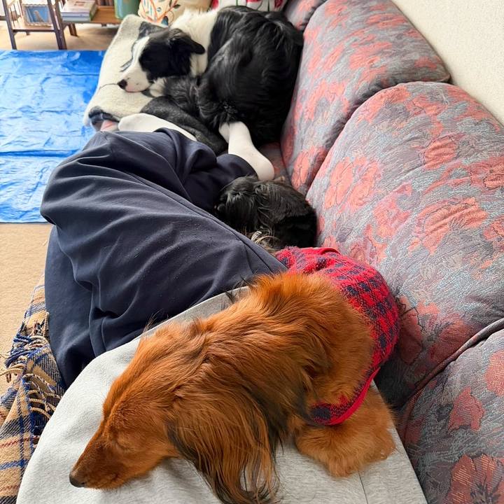 D7472204 c328 4dbf af85 c97856df423a 1768714944850