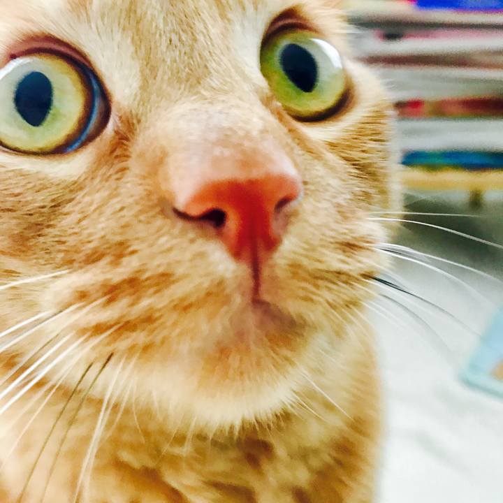 D74723cd dafe 437b aecb 4fbe178ab3d6 1615097229599