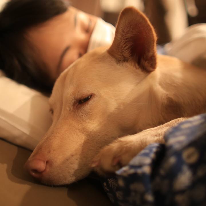 D7472e1b d612 4e9b b85f d4f150c2e7d1 1514519484552