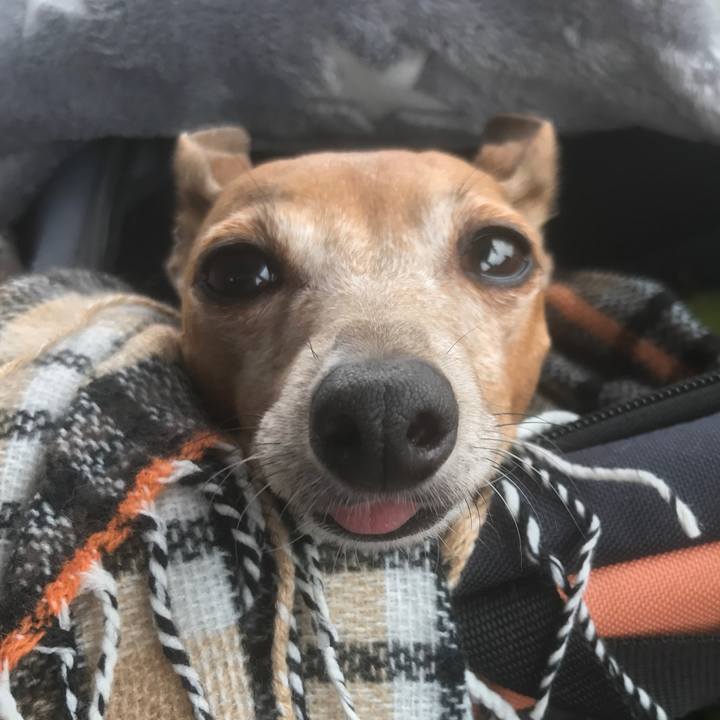 D747e1e4 6a0c 4c8b b85f 206325e4a2cb 1509193760605