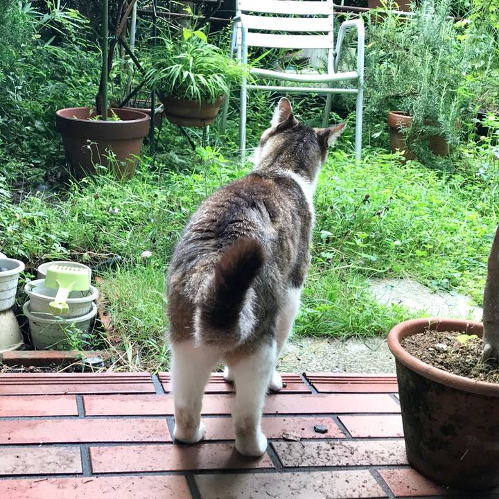 D747f660 8630 4702 a27e 5485a993fe8c 1563852831331