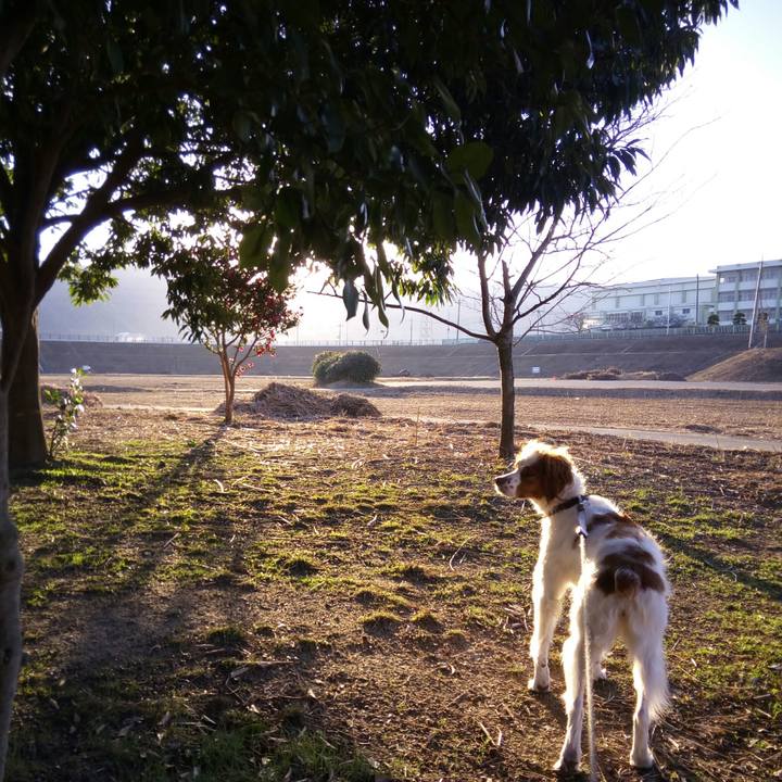 D747f9fc adba 4215 8173 7f85f9da1487 1516846032880