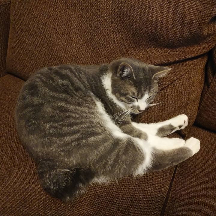 D7485e4c d876 491f bbec f210d2aeaf83 1580102726271