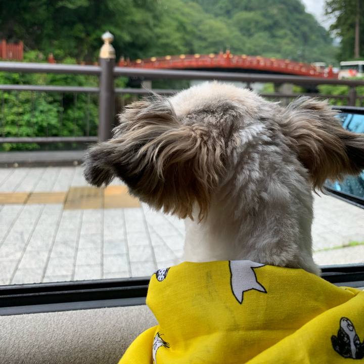 D7486338 6180 4787 bb1f cf373c238833 1564288433198