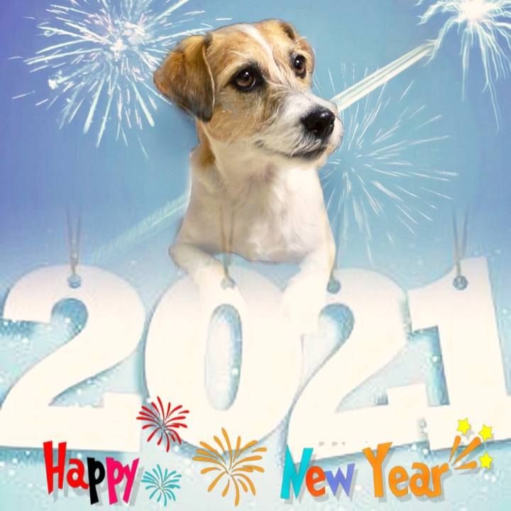 D7486b36 57a9 415d a4bf a6af02585ffd 1609477569514