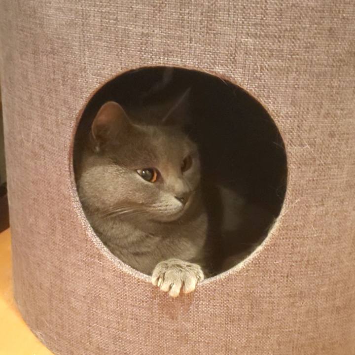 D7487974 5243 4000 9819 735e83684783 1583133890874