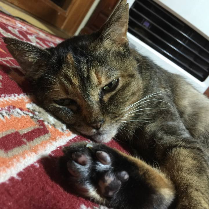 D748afcd 674b 4952 956f d172ba7a940d 1578235802948