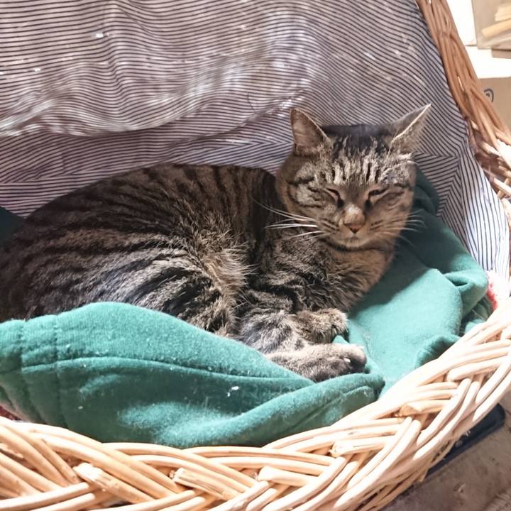 D748b264 dd8d 4f69 b2e5 c4f6ba2db1ab 1641462053402