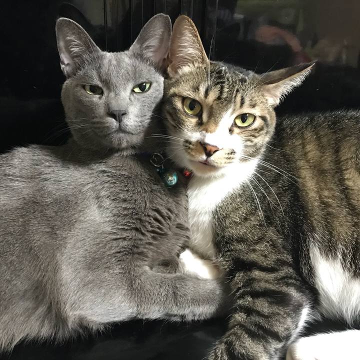 D748ce0b ddb3 4324 a4ca 6af95ec88e5c 1514376964517