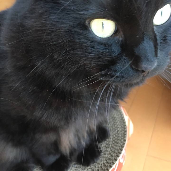 D74933f1 7d39 4ade aabc c77a766cff4d 1536906535208