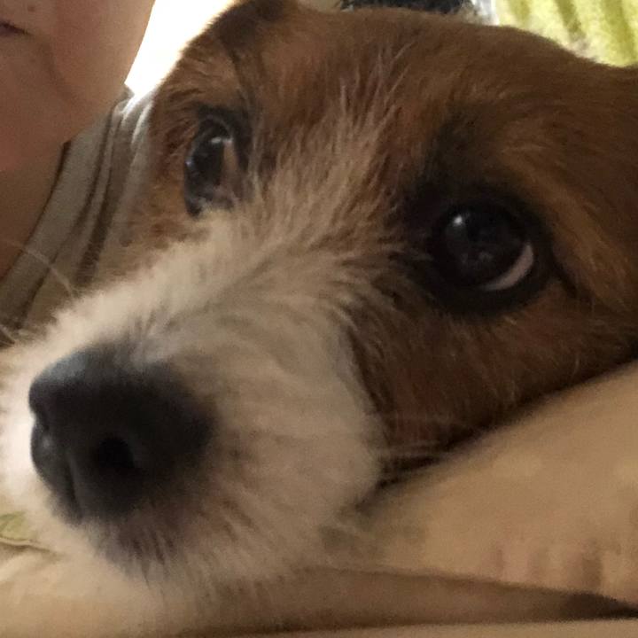 D7494307 daaf 44f5 a04c 38c7ec2f79e5 1530444043929