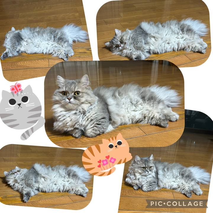 D74961f1 f8de 4d9f 97bd 86bfb481f5ae 1752422120452