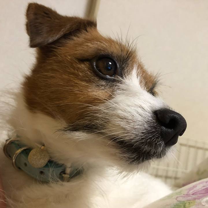 D7497582 ad10 4078 9771 8d8991abe7af 1553163258302