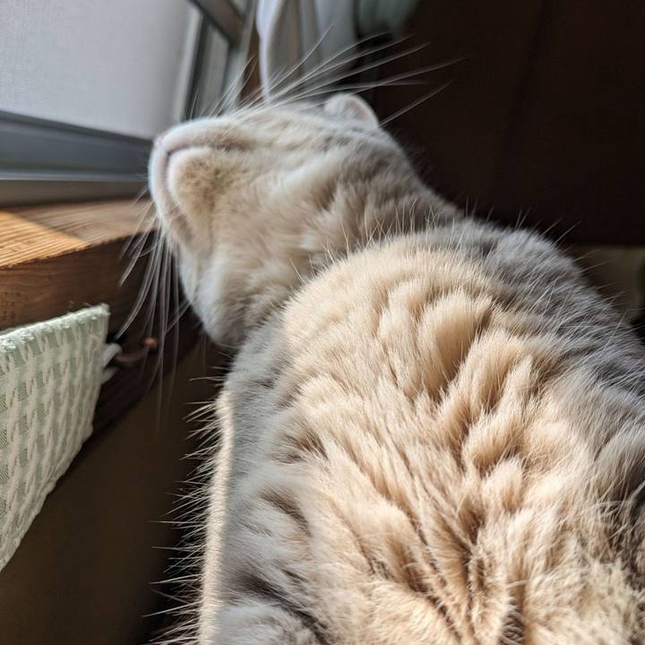 D7498d90 999c 4f4e 92fc 48a7c549748d 1690258727340