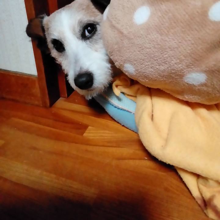 D749a206 583e 49bd a17b 8a5c7c138d70 1575290554349