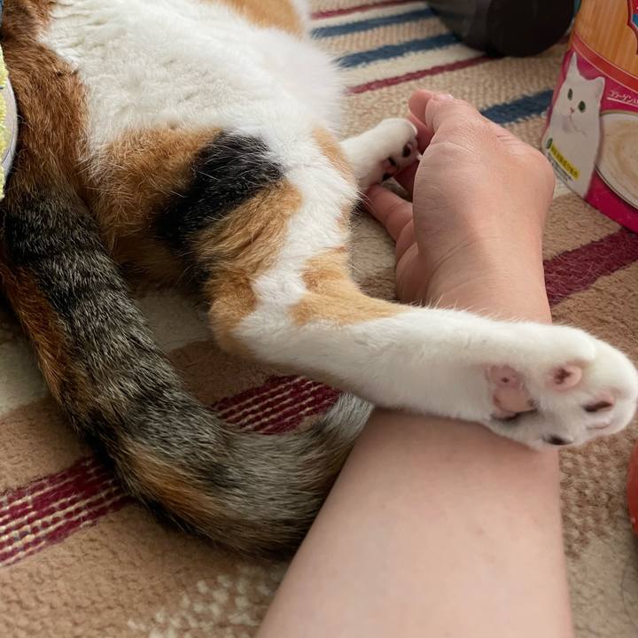 D749b110 b144 4687 a2e9 d98542109b58 1757633903199