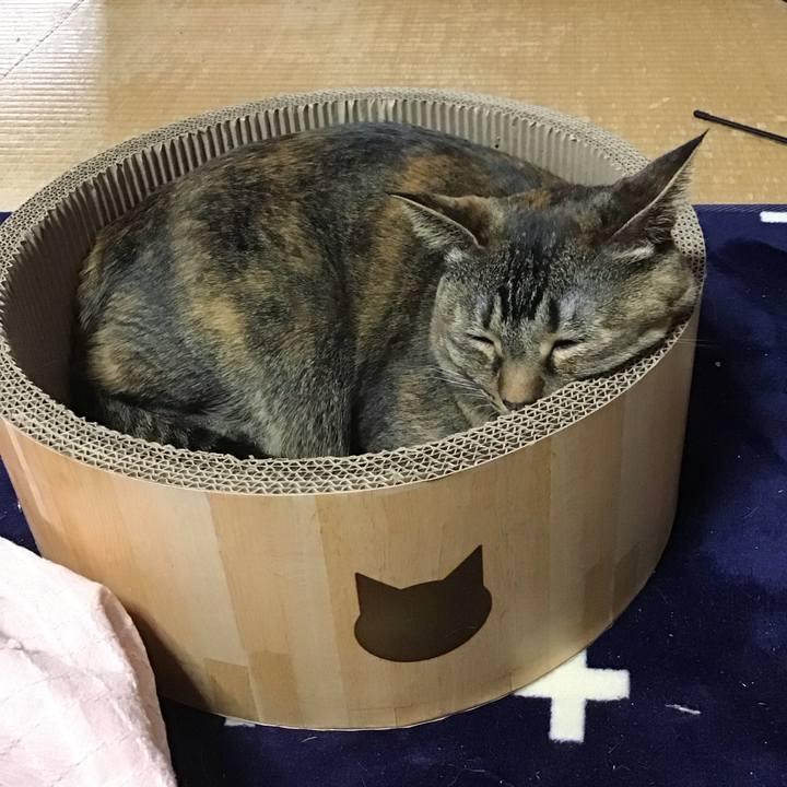 D749cbd4 8e3b 493a a96f 9b0dd60c183c 1711167688808