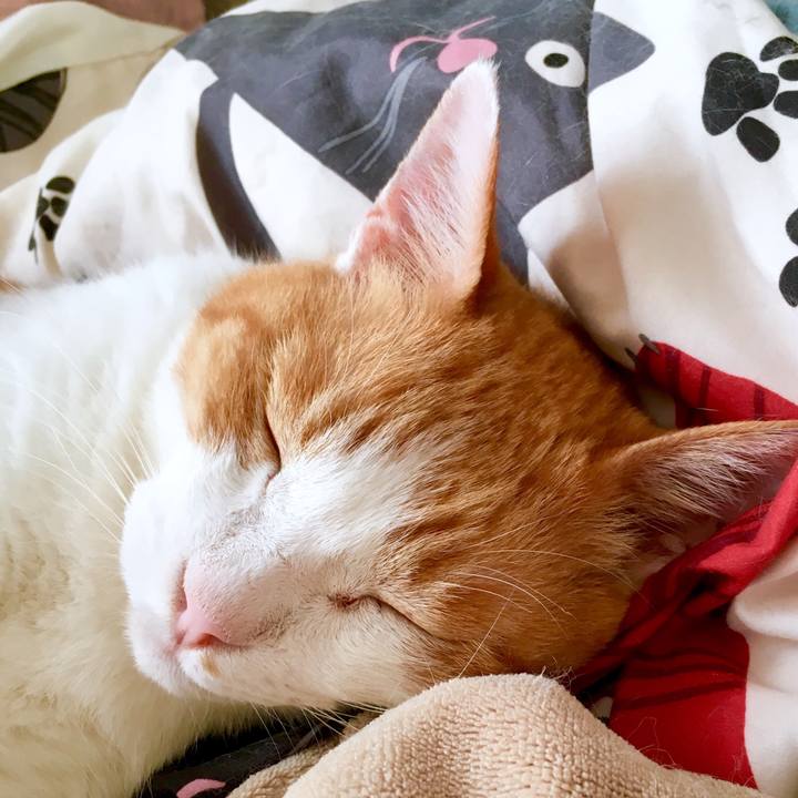 D749d0de 29e6 4550 97a7 0fa7f919df16 1568774597770