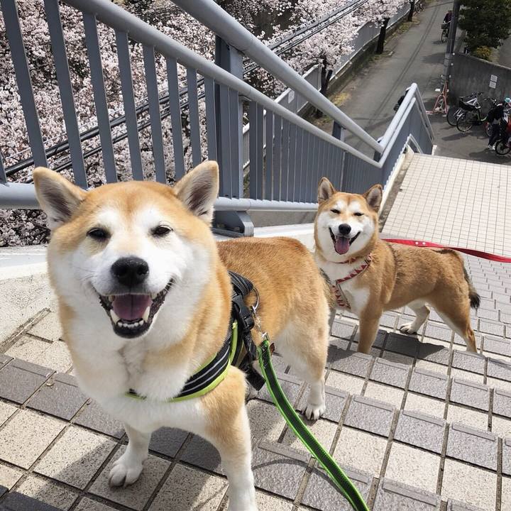 D749ed05 6ae5 4e44 aa3b b11bb90b6fd5 1522083620989