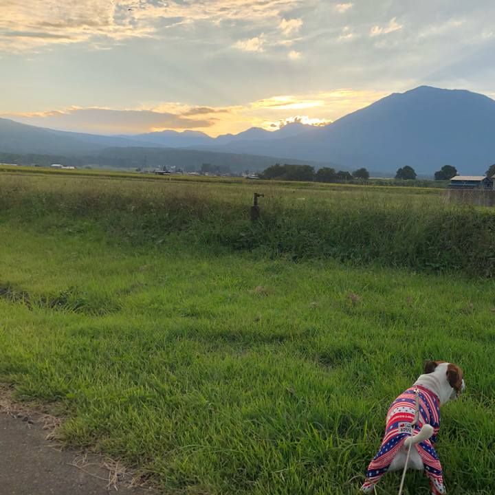 D74a1cc0 bcf5 43e2 96b6 8d4d385c2901 1568457697107