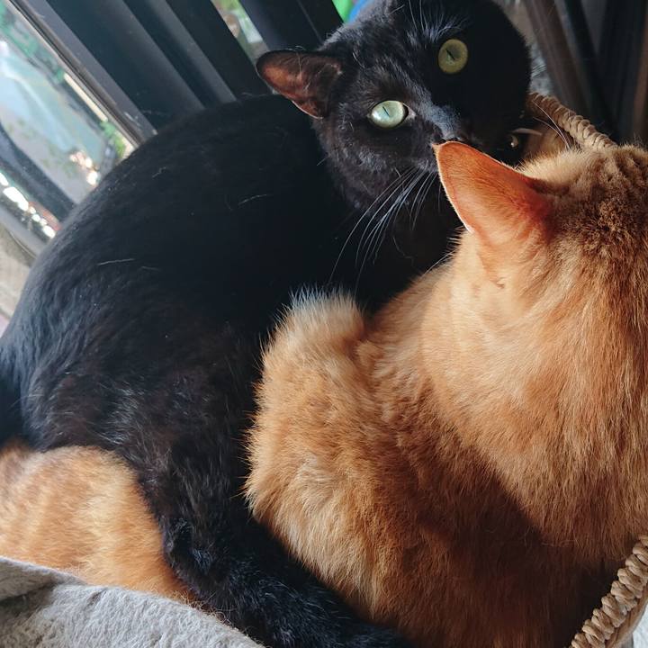 D74a4de0 7e4b 4e08 a402 30fe2d68321d 1566258816742