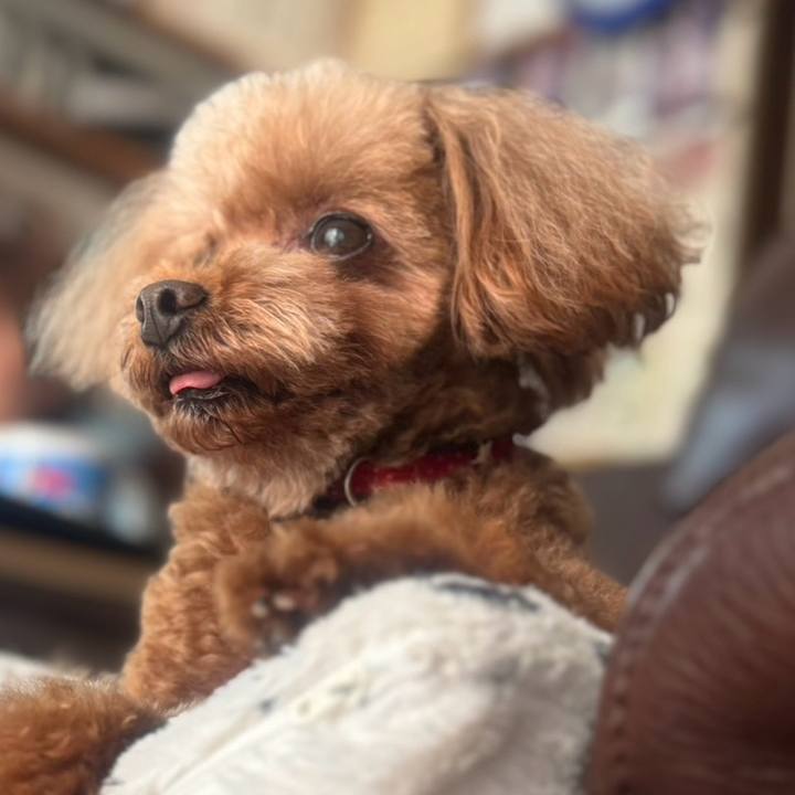 D74a6350 9385 4c1e 89c5 cb214a96f2b8 1714352336124