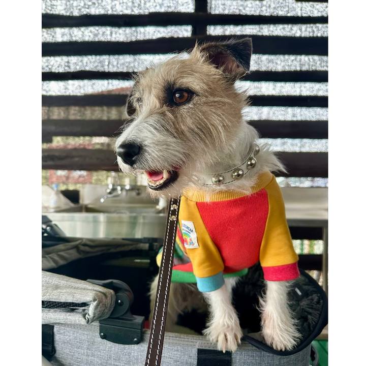 D74a6e59 fcde 4d6b 9286 6b054d34bb0d 1737333457217