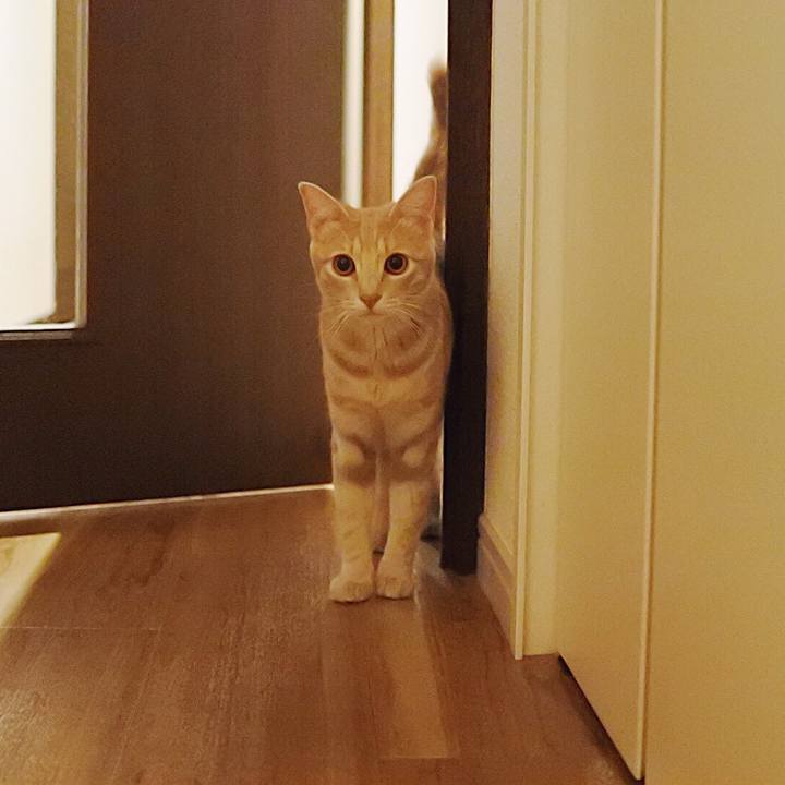 D74a807b 14d8 4543 8725 d495375ec7c4 1563628739855