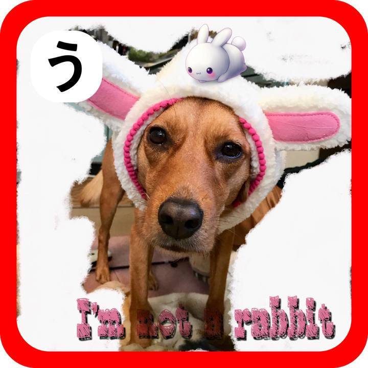 D74a9224 0a9d 4cbe a29f 6d22dc385897 1514771507558