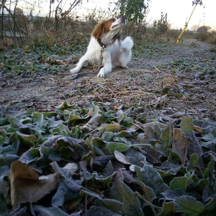 D74afc46 8c4c 4243 8874 716ebb455376 1513556144975