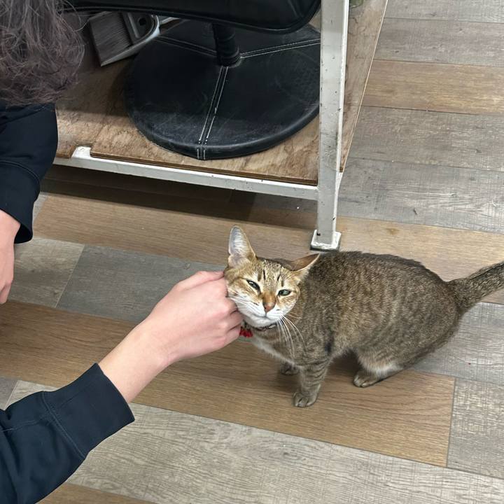 D74b3597 a72d 4e3e 8081 b4d28db21efa 1768007604733