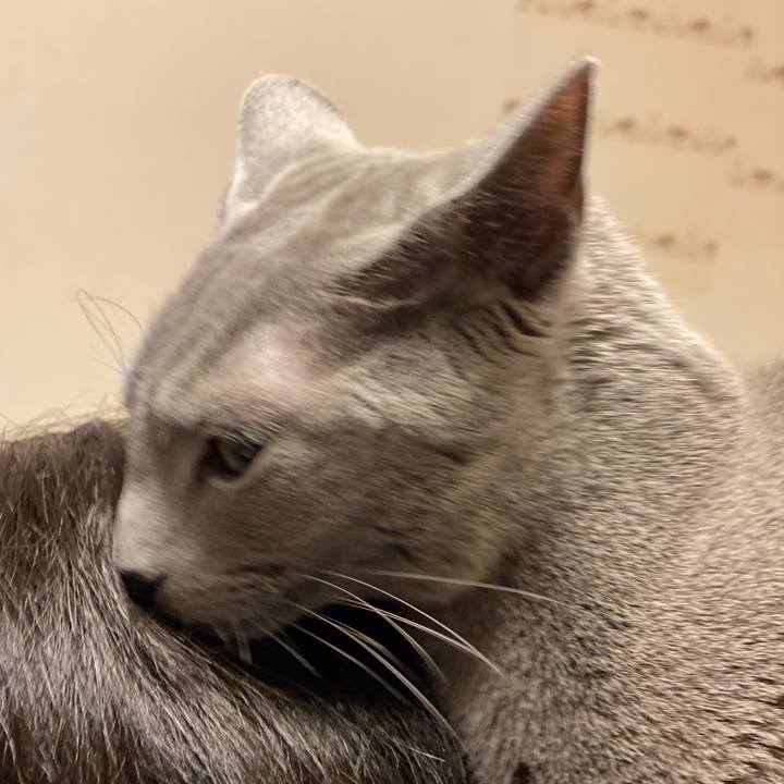 D74b7750 ba35 47df 8836 bb5bdd6374fb 1644461067883