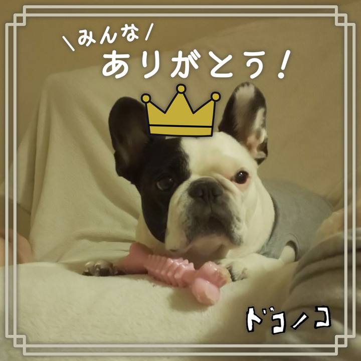 D74b7809 fd8f 4dea 8169 818b569363a7 1622883125674