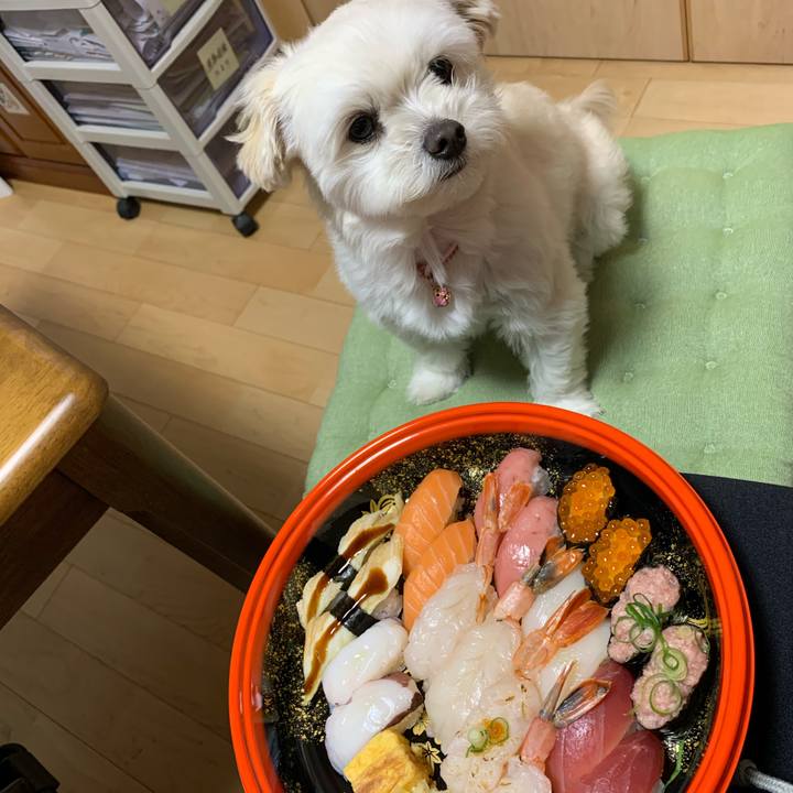 D74b8feb fa5d 46d5 9f56 3740a423f460 1582109600523