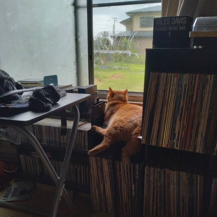 D74bbc41 d887 4b61 bd6c a7d078a913cf 1722158964613