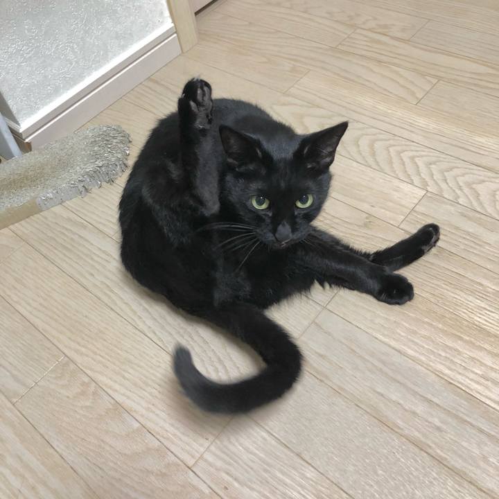 D74bdb9f bb20 4bc4 bb5d d209511f22b3 1635944521063