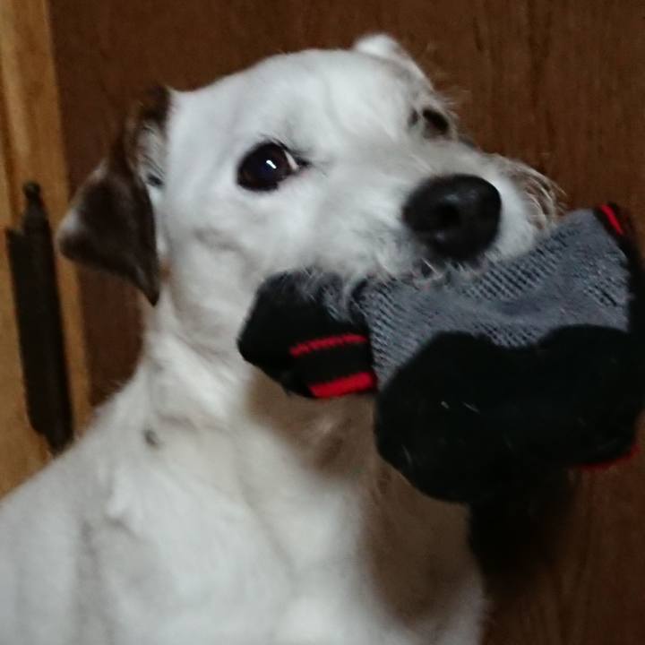 D74bdd05 aece 4656 8fc6 e822712220f7 1547421855202