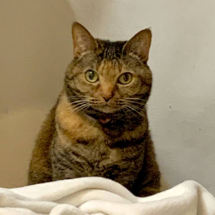 D74bef9e 61c2 44a5 bb3d a61e3ee6216d 1710905507619