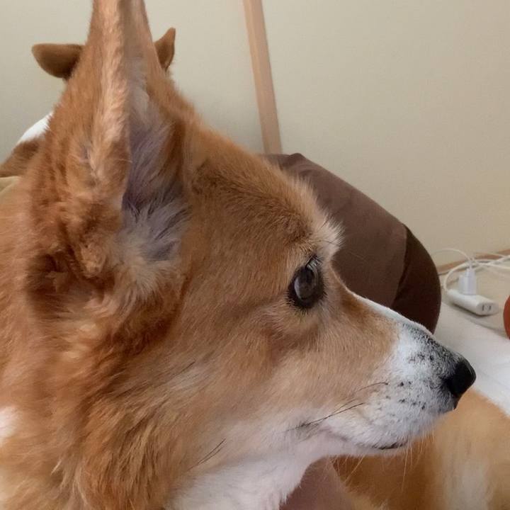 D74bffe1 07dd 4c88 b07d d044f1ea65cd 1699237484995