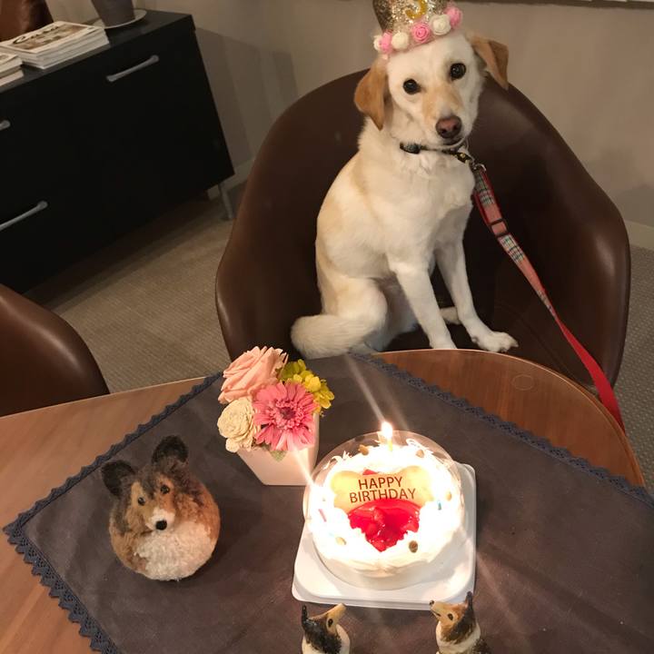 D74c28f8 bacb 4937 8f52 d2297a7286fe 1584197295365