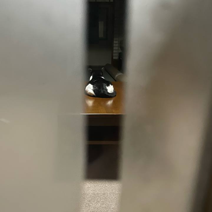 D74c385a 55d6 4b1b 9410 0665c6087078 1755384590569