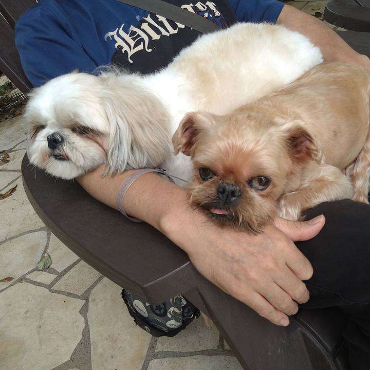 D74c4c0c d76b 49ed b928 756a285c5dcb 1633142006406